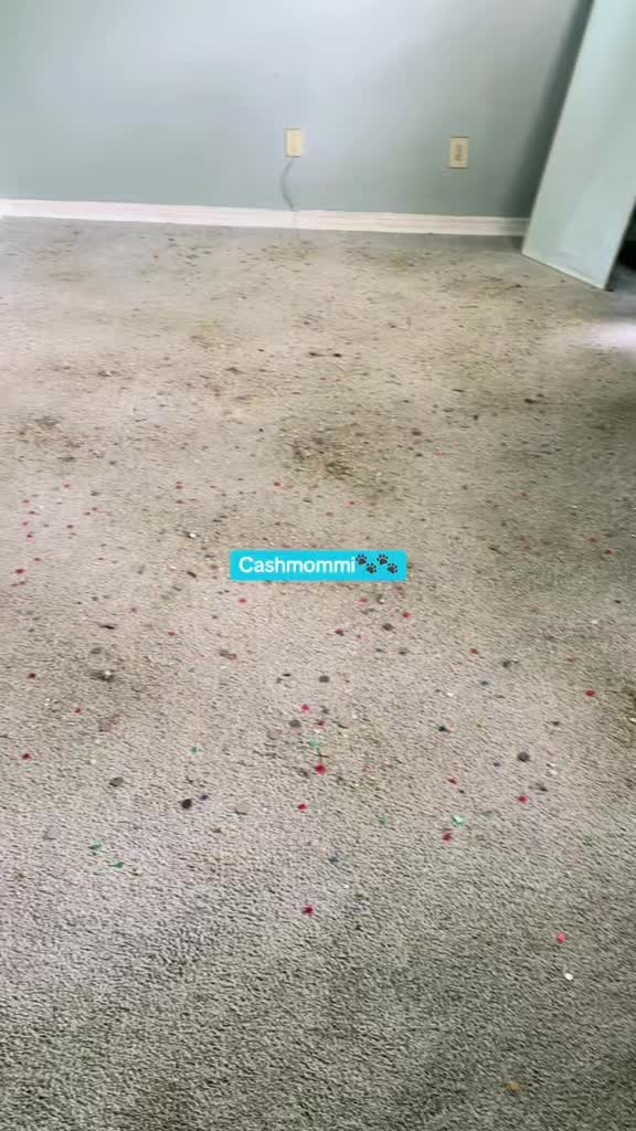 @CashmommiVacs
