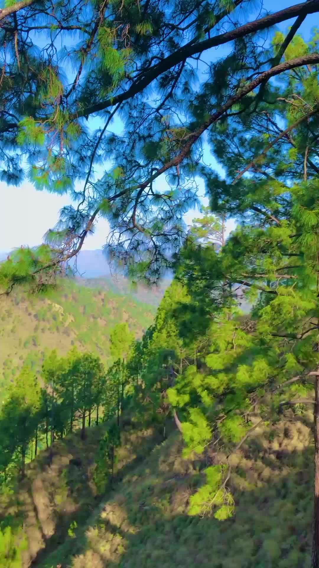@وطن گلونہ