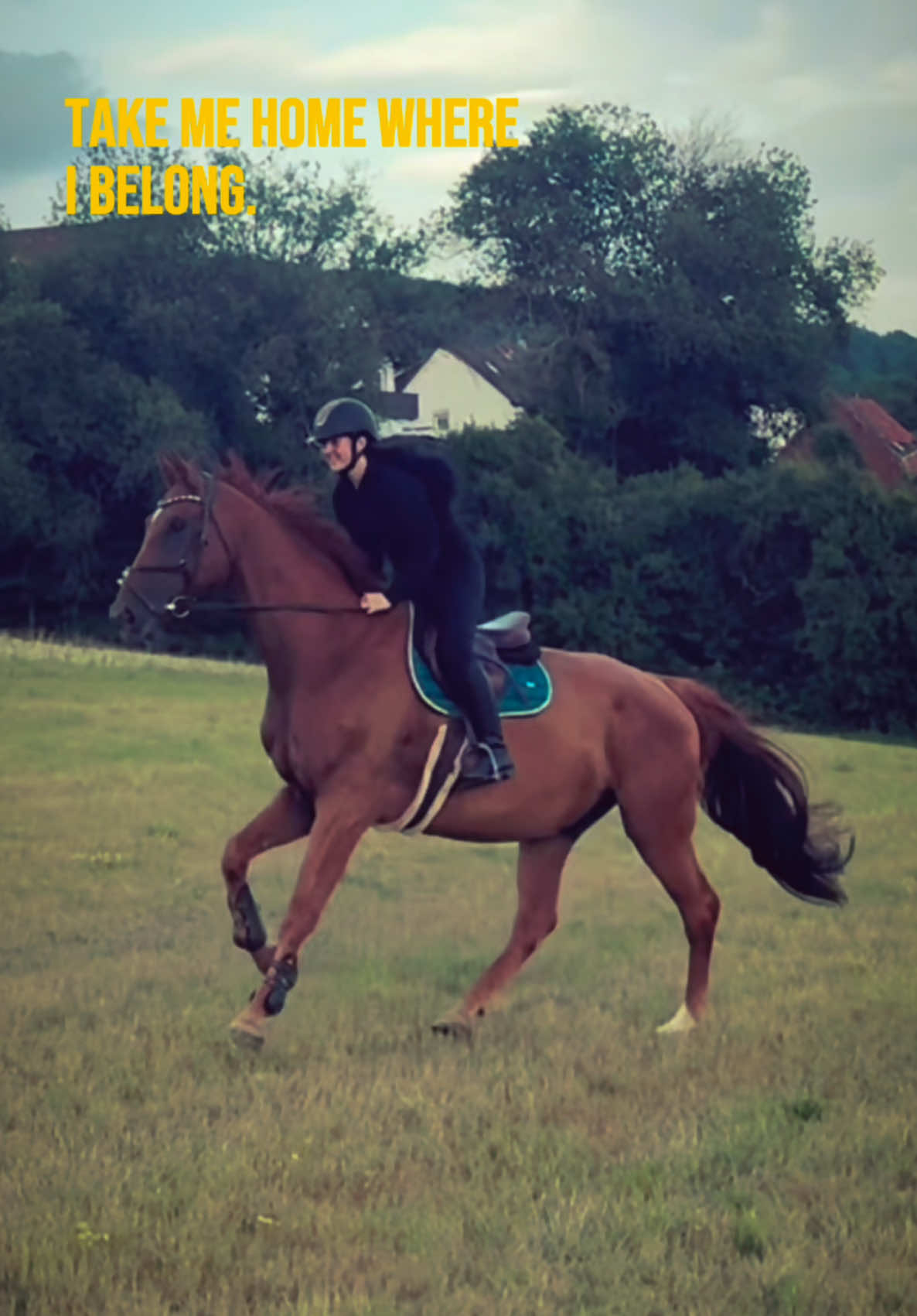 @annalisa.equestrian