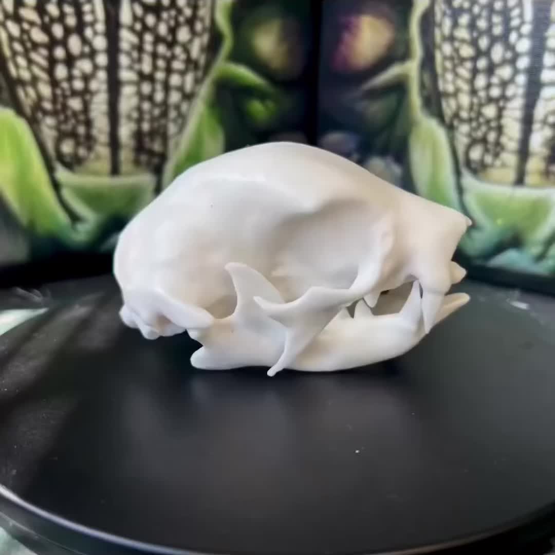 @Misterfeeneyart