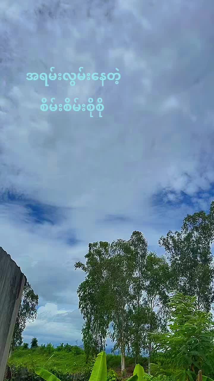 @@🦭