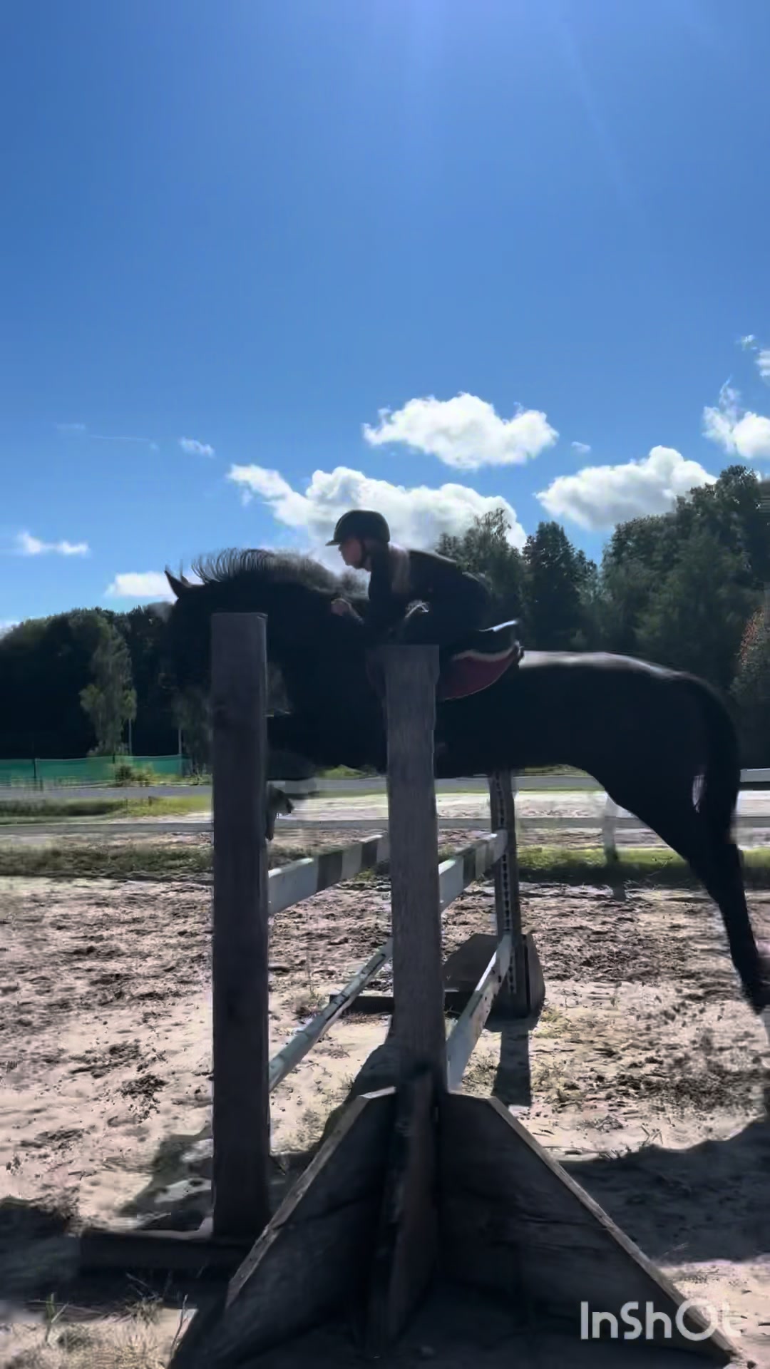 @💋🐴