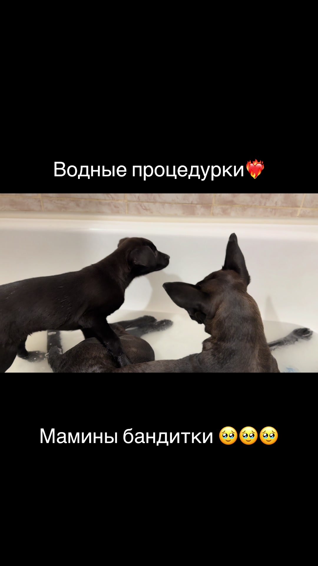 @🍒Иришка🍒