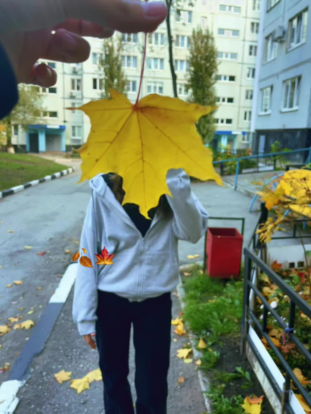 @gelechka275