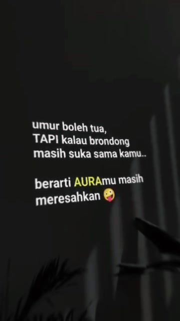 @vivi