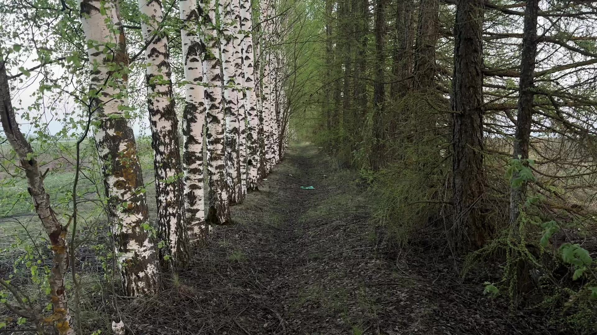 @Маруся