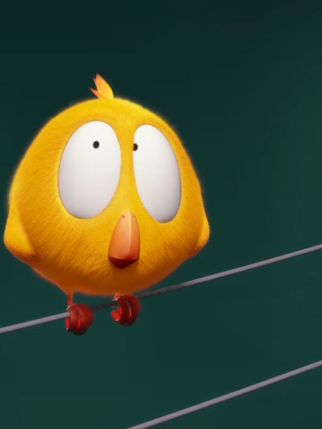 @Where's Chicky?🐥