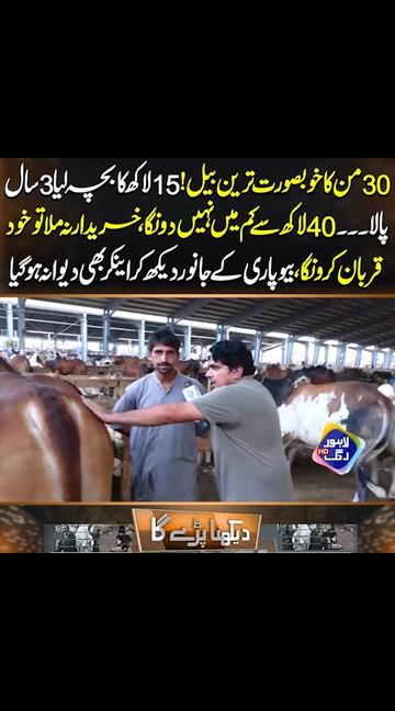 @raja Awais