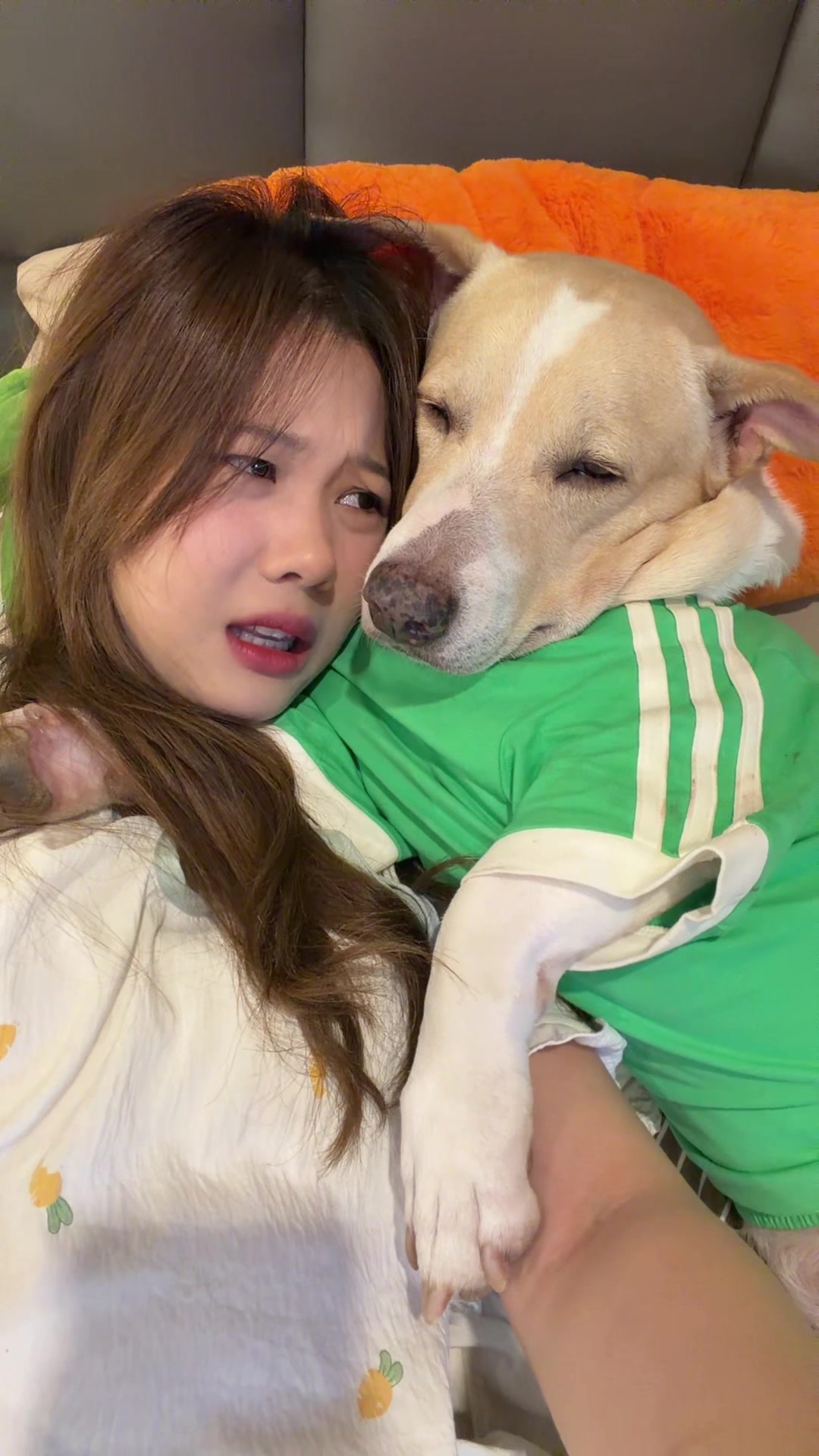 @สามชั้นหมาโหลดต่ำ