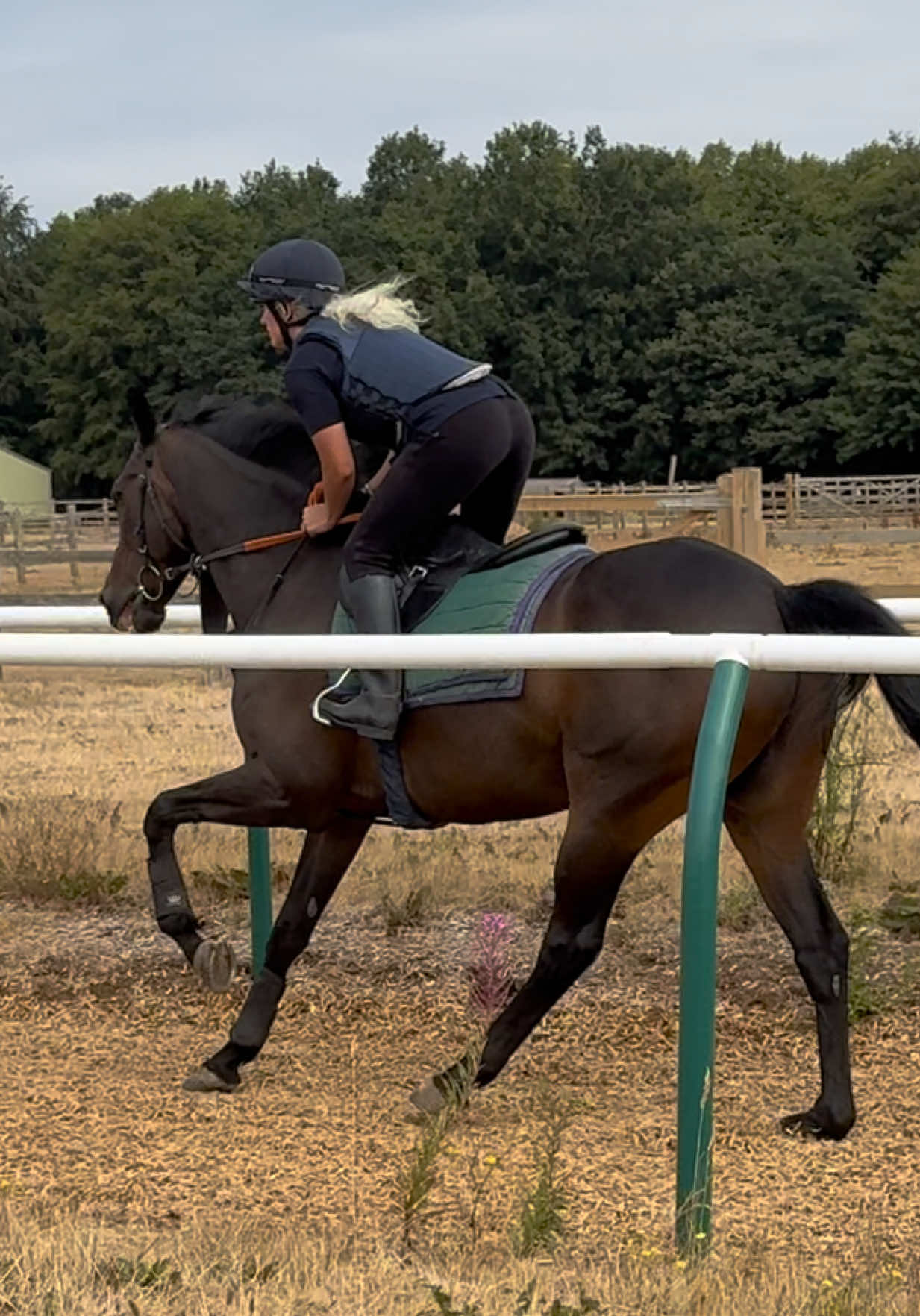 @National Horseracing College