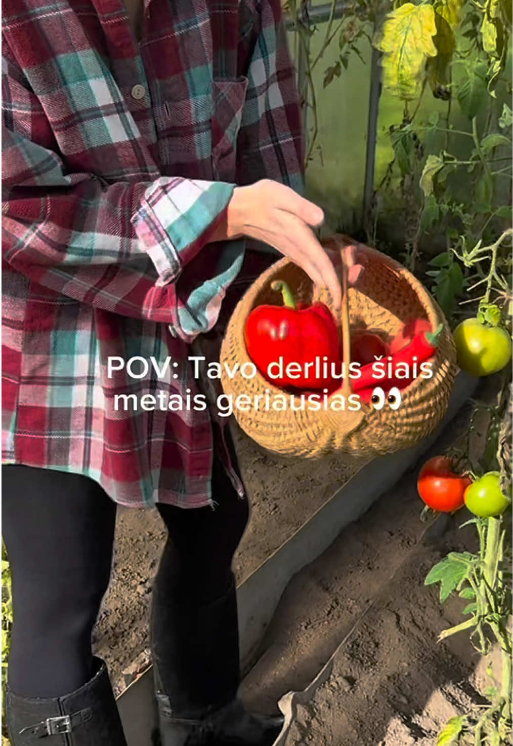 @fantazijos.lt