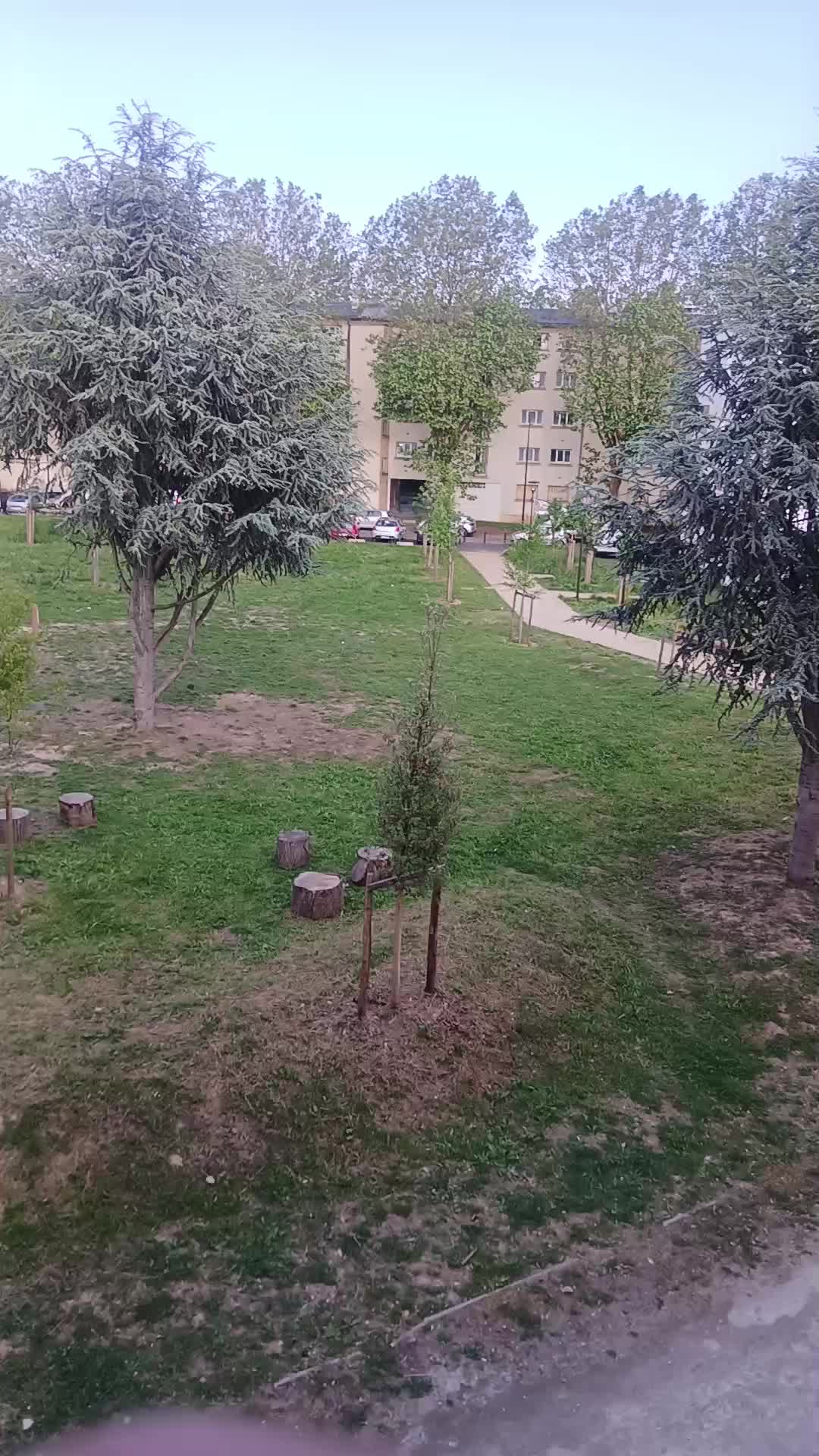@ZZ 95