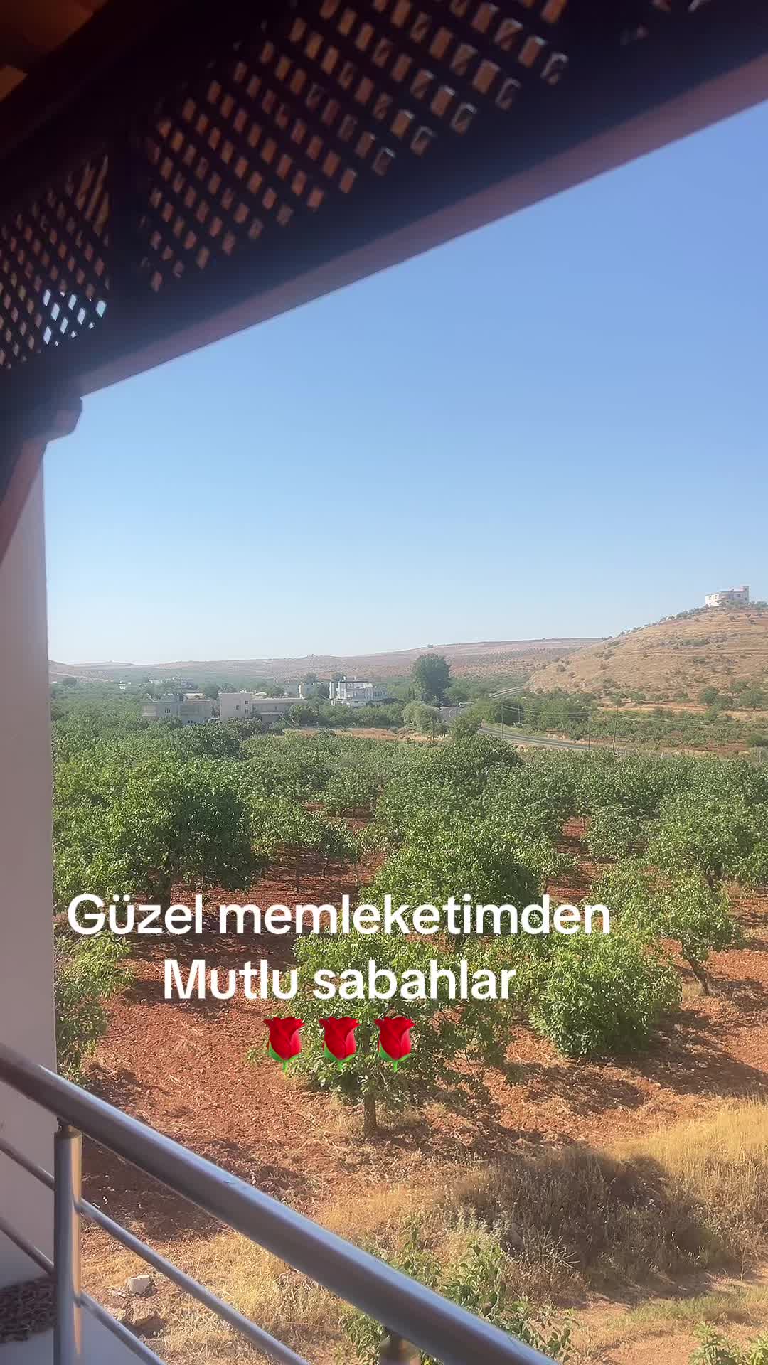 @By deniz 3509