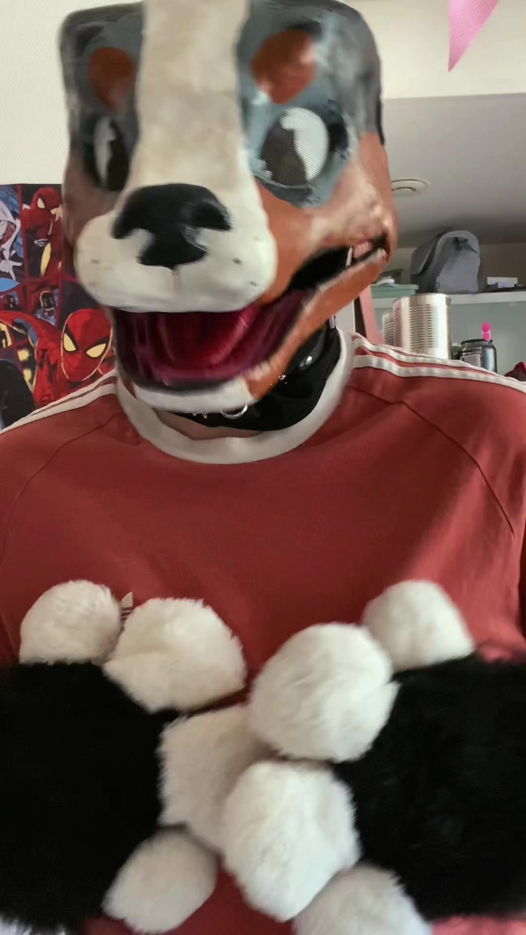 @⋆˚࿔ ☘️ 𝐓𝐫𝐞𝐟𝐥𝐞 🐾˚⋆