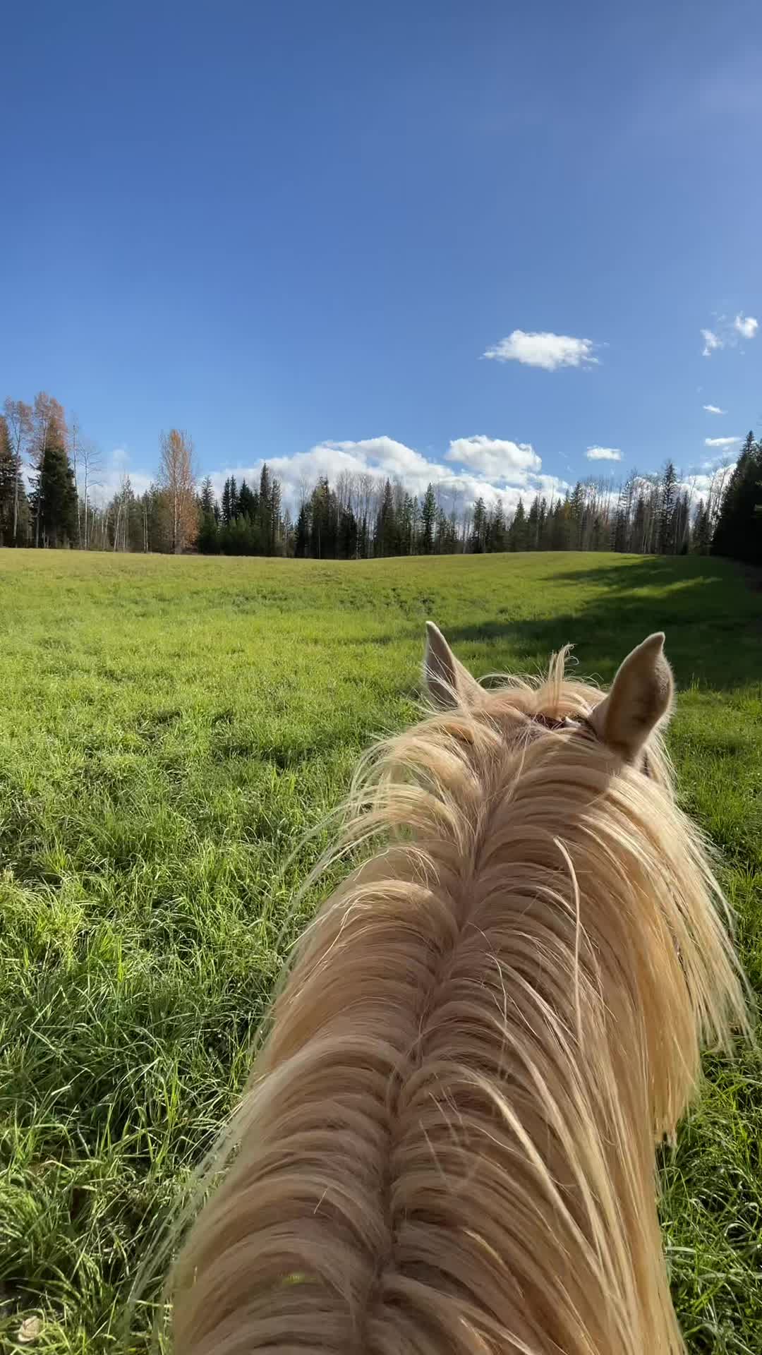 @El&eacute;onore💫
