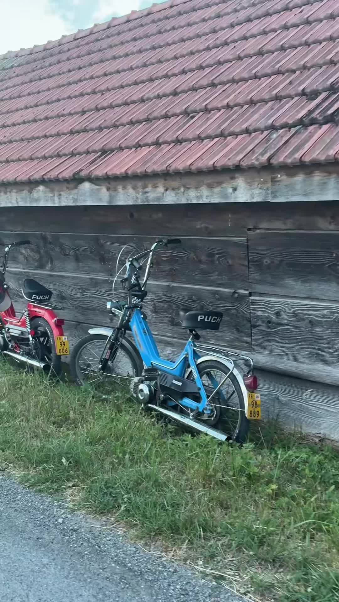 @Black_Puch_swiss
