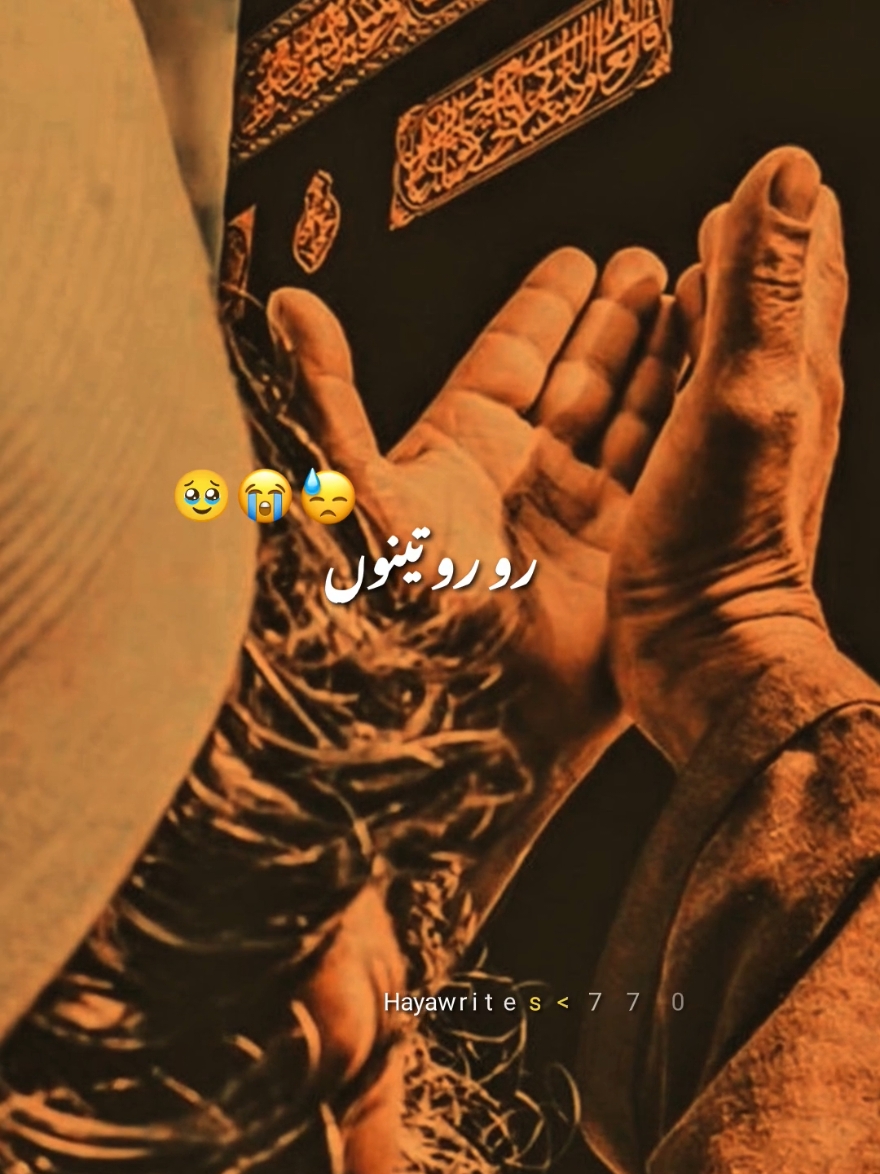 @Haya