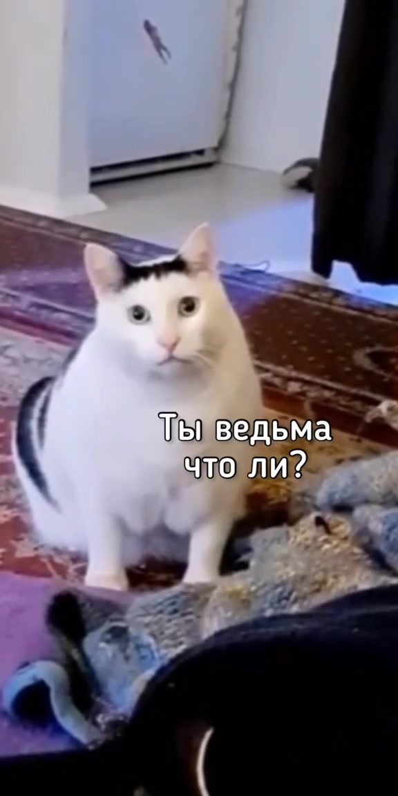 @тг: diamantzzz
