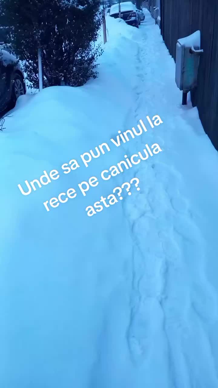 @#SFINXUL#
