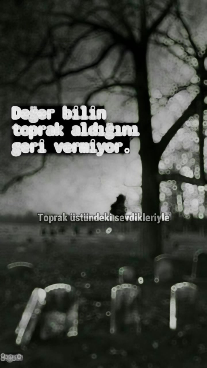 @Abdulkadir Güler