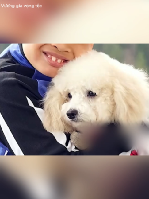 @Vương Gia Vọng Tộc