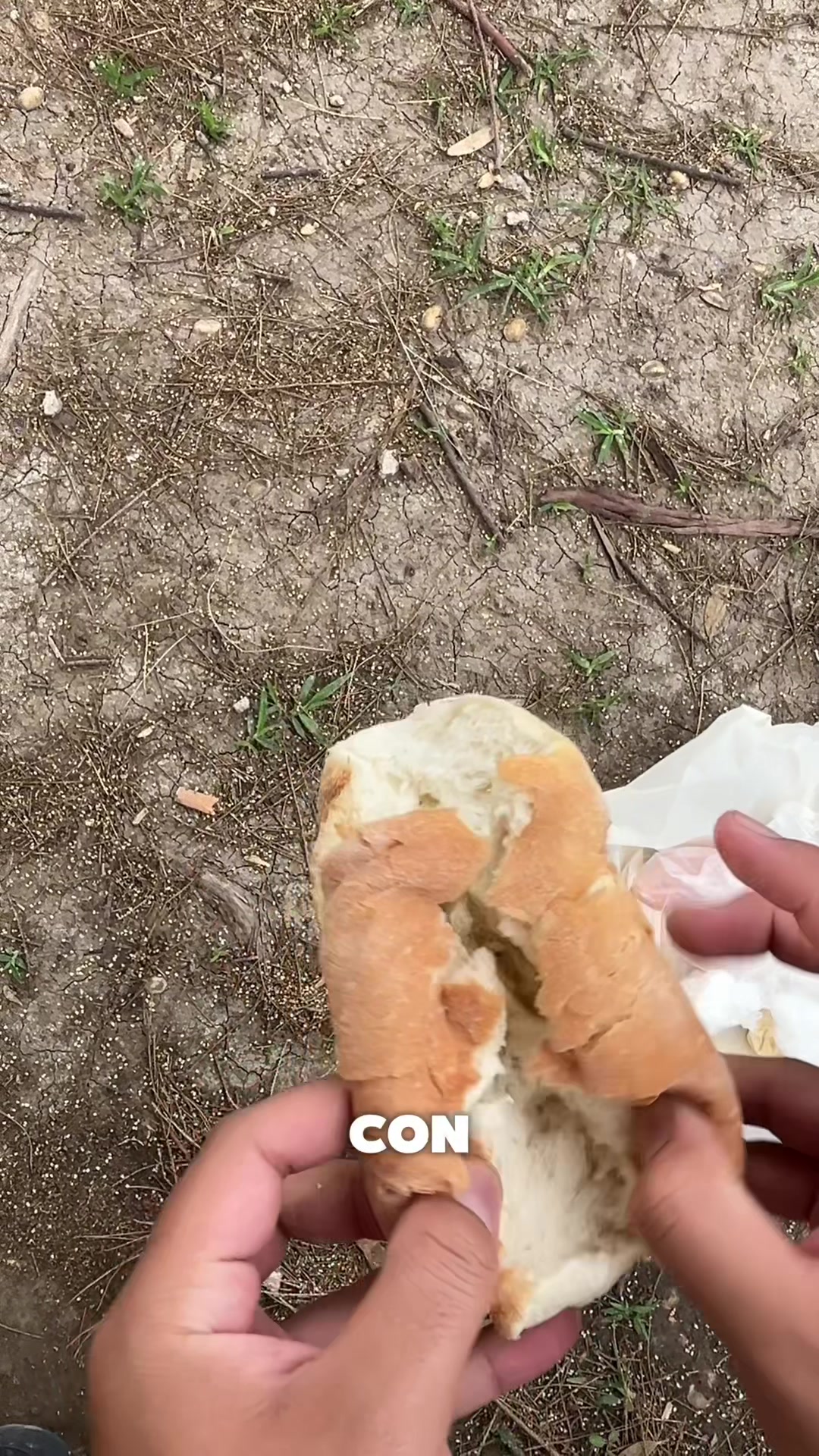 @El de la yz 𝟸𝟻𝟶💙🥷