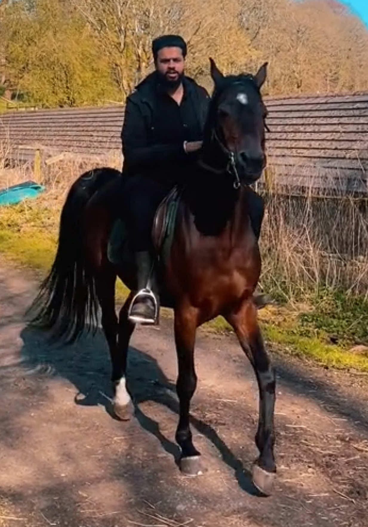 @thekhansarabianstudfarm