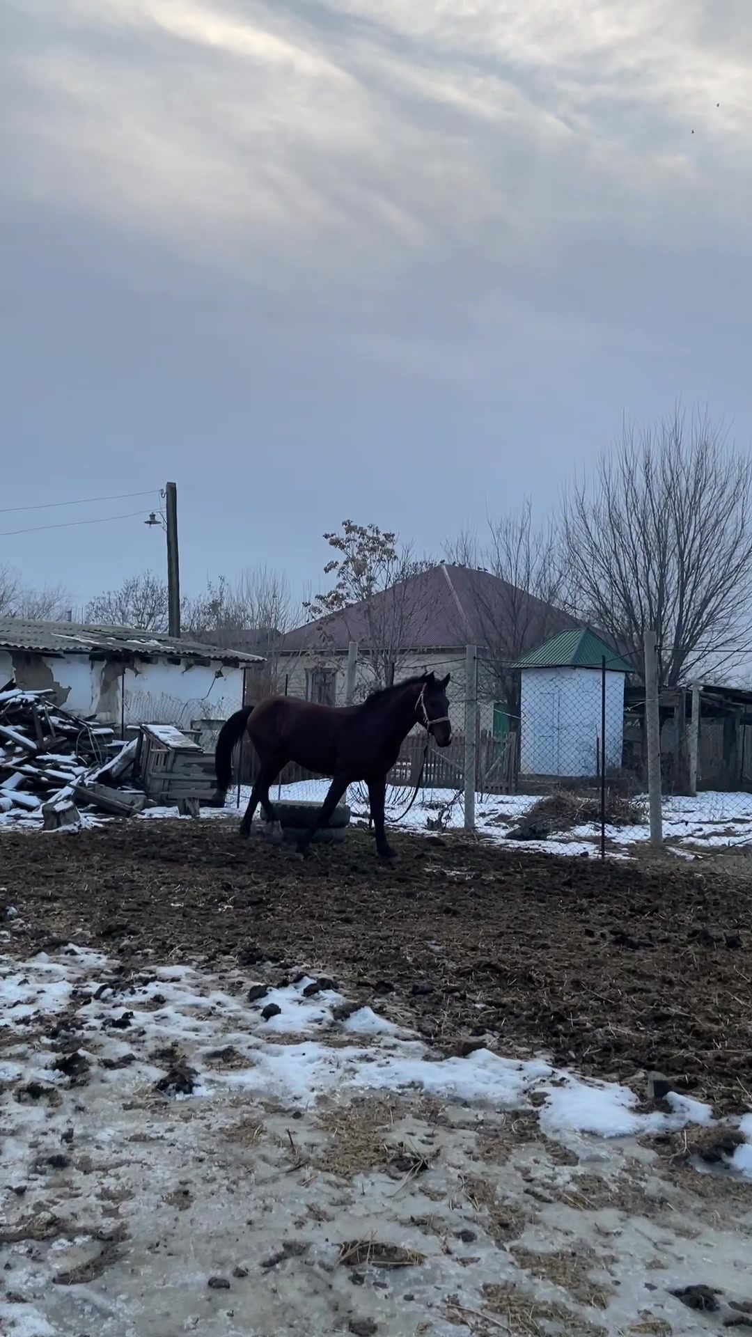 @Сары_🦅