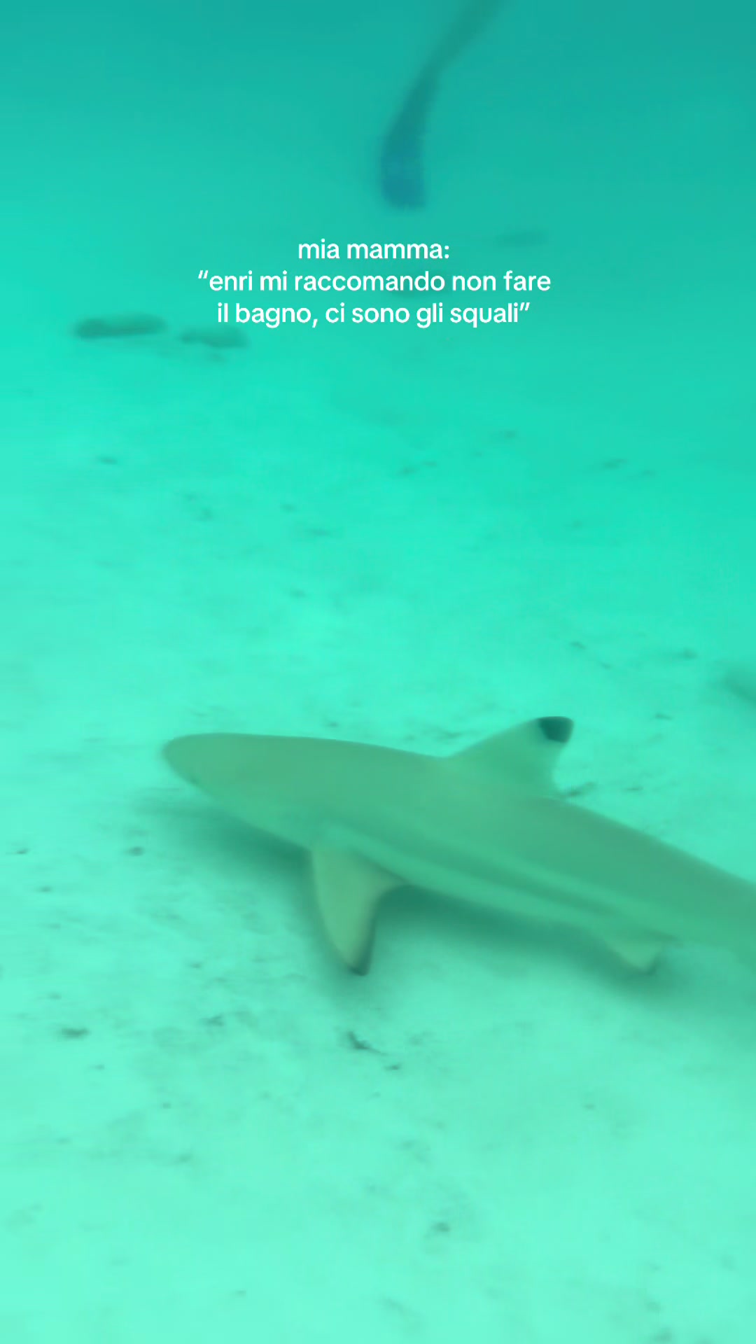 @Enrica Mansueto