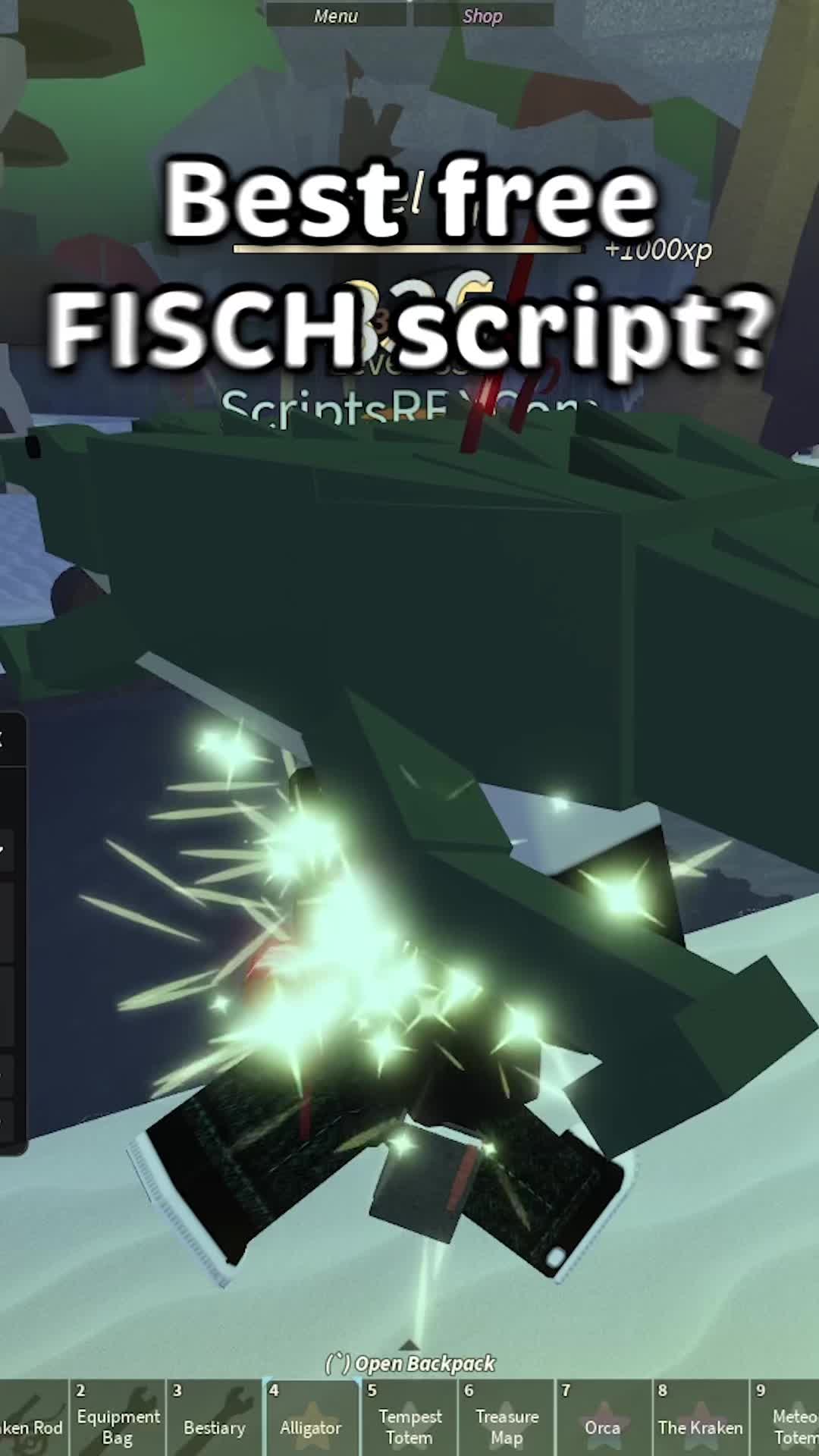 @ScriptsRBX