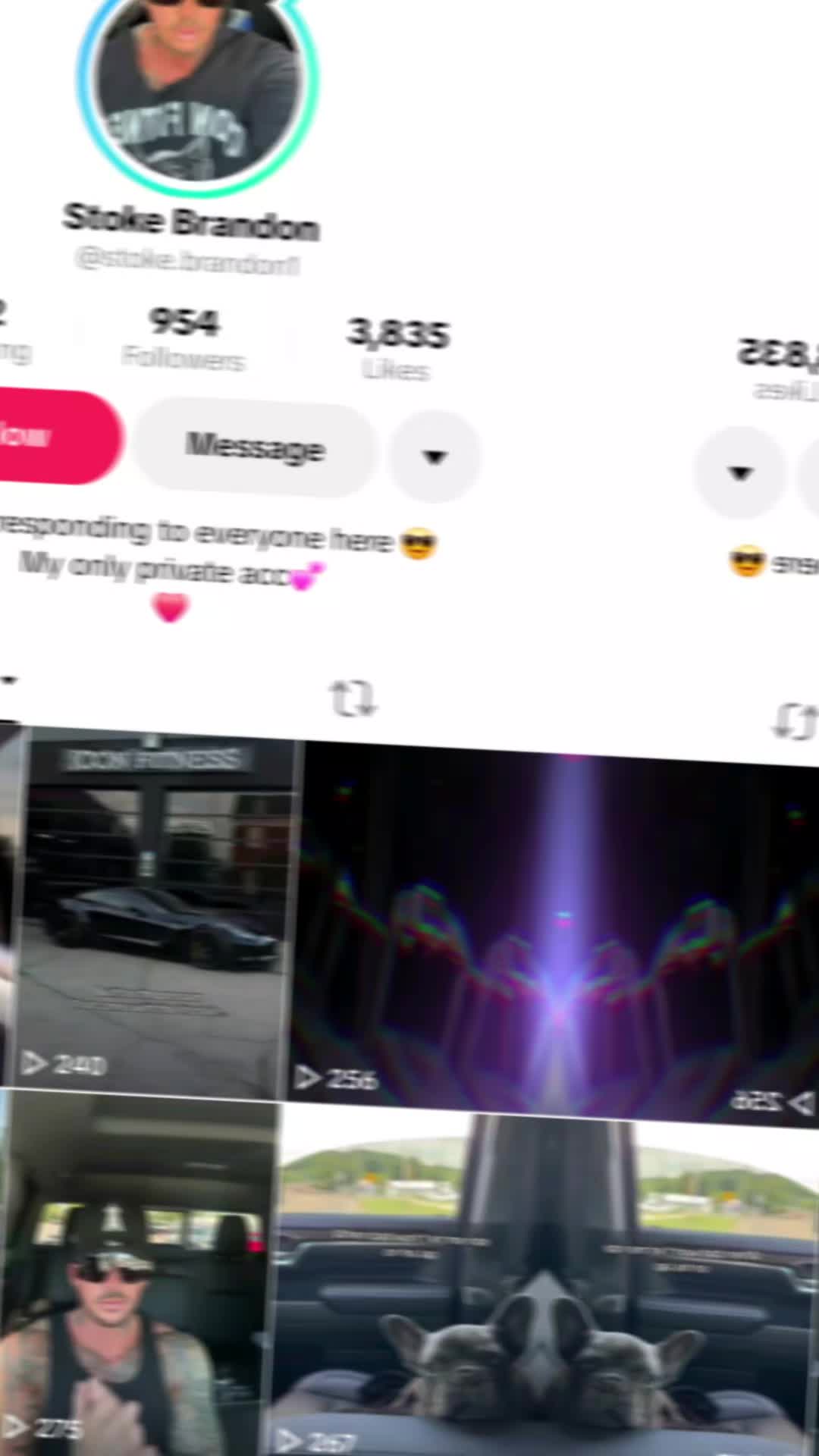 @wolfbait_2