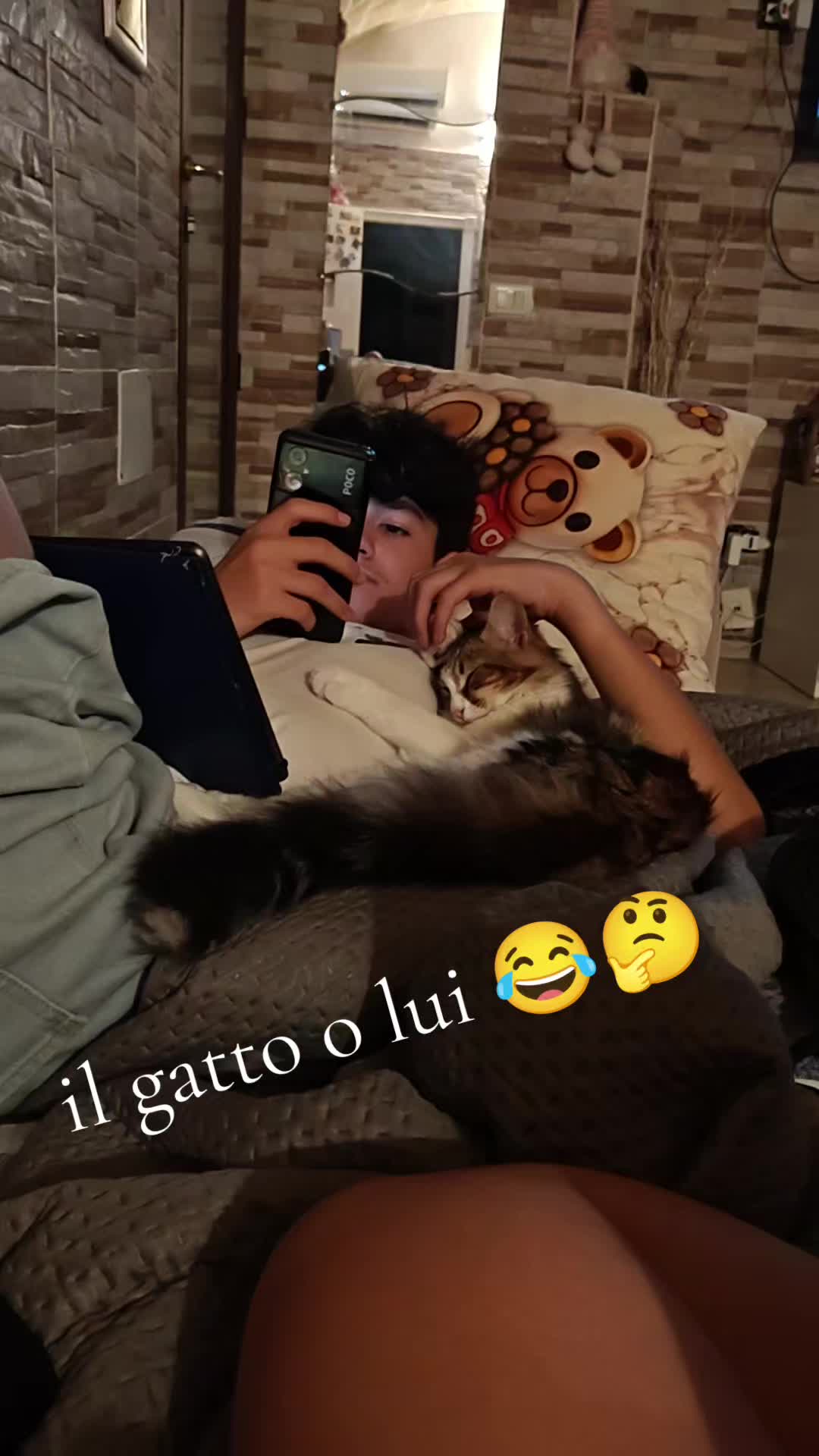@🌸Memole🌸