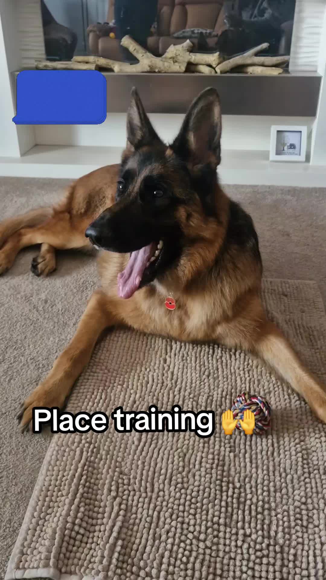 @The Dog Mother Lanarkshire