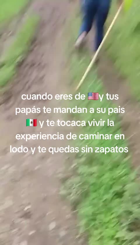 @🇲🇽tiburon 🇺🇲🇲🇽🏋&zwj;♂️🦈🗜