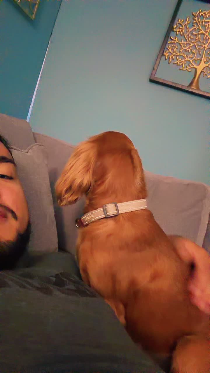 @Roman_Vlogs🤓