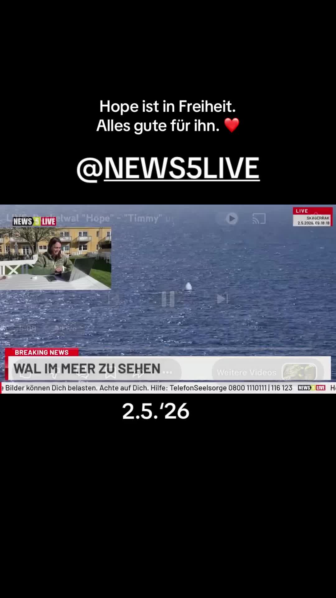 @Bibi