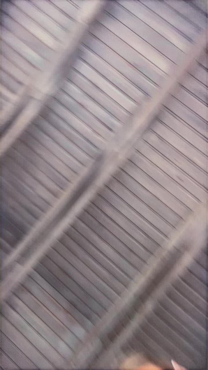 @crisscrisii