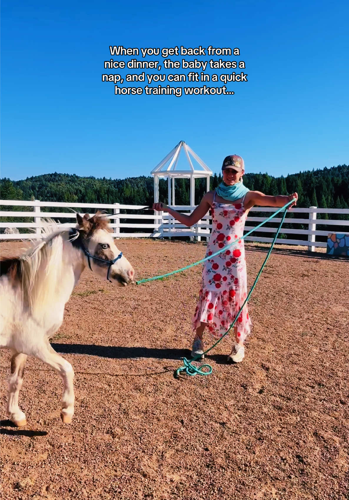 @Star Point Horsemanship