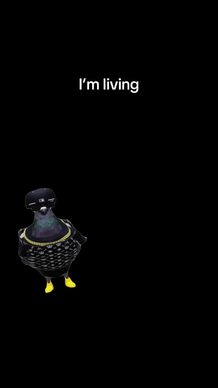 @TinyPigeonGv