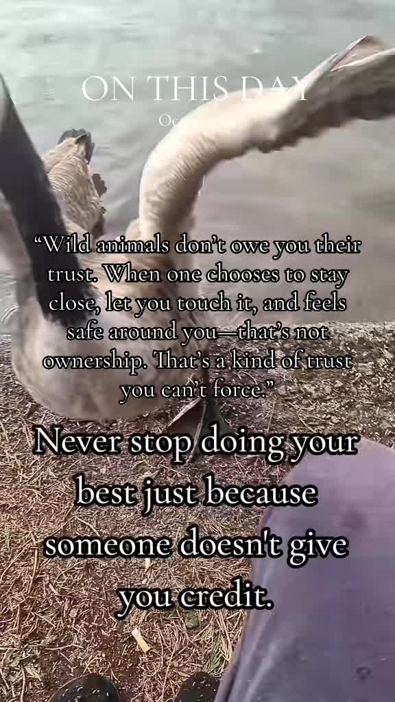 @ɀل🐺