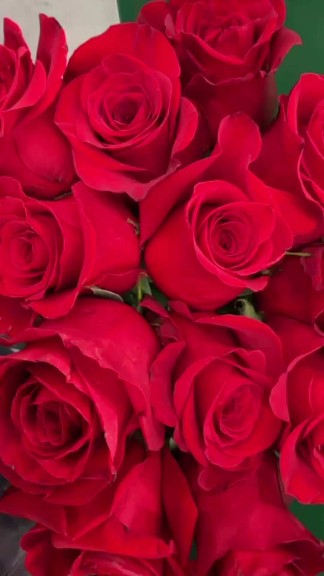 @an_flower_bloom