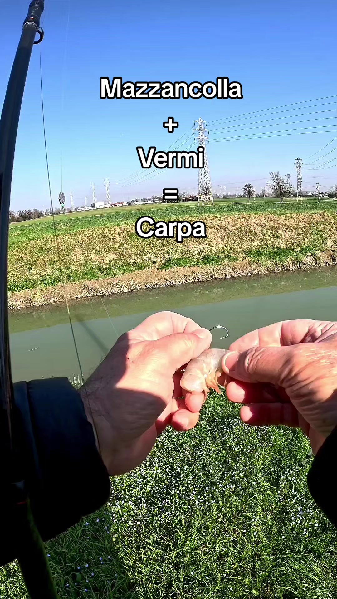 @🎣 maurizio 🇮🇹