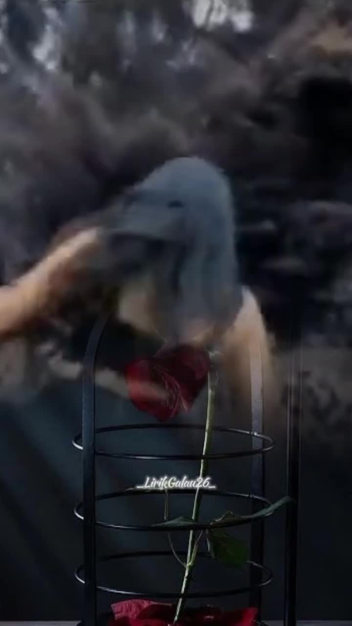 @_๐ท๐๐๐๐๐ฒ๐๐๐๐26_