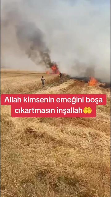 @Cesurburak73_34