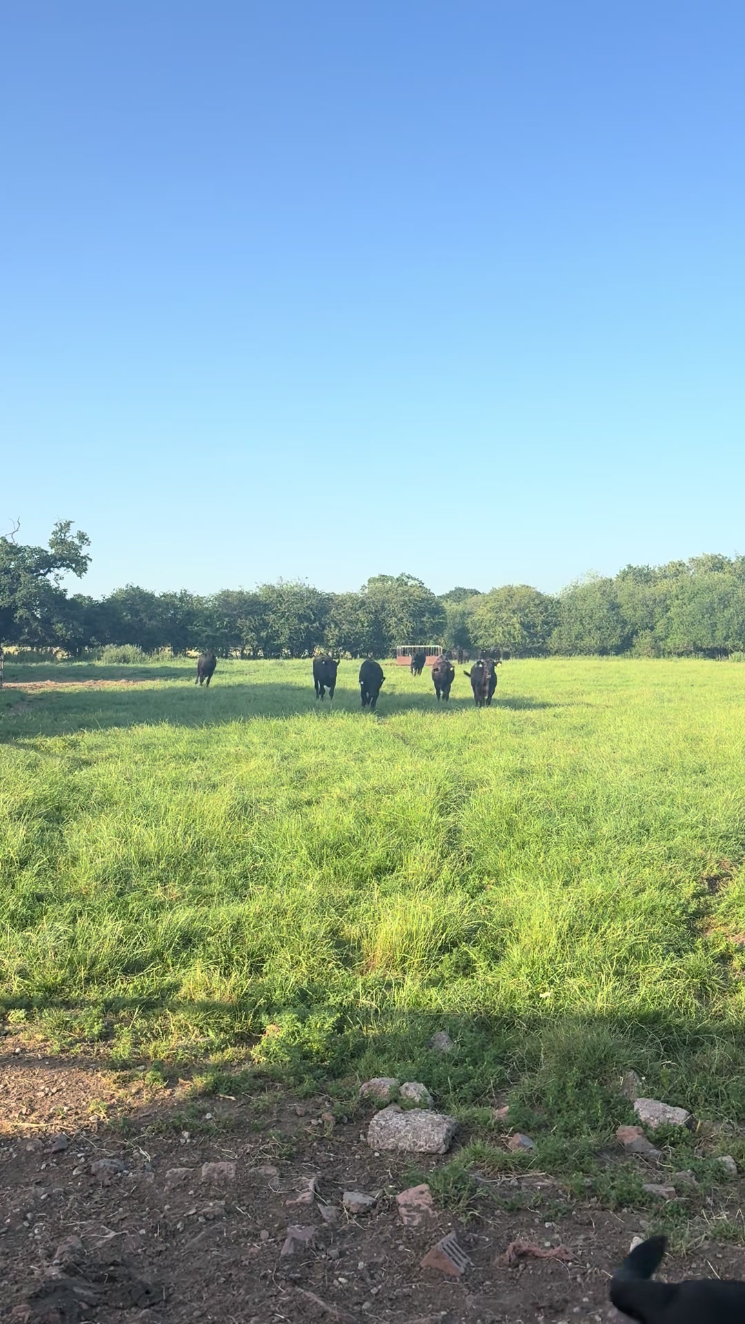 @Life On The Farm - Cheshire