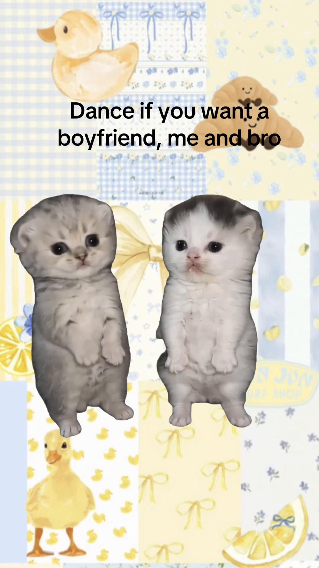 @Kam