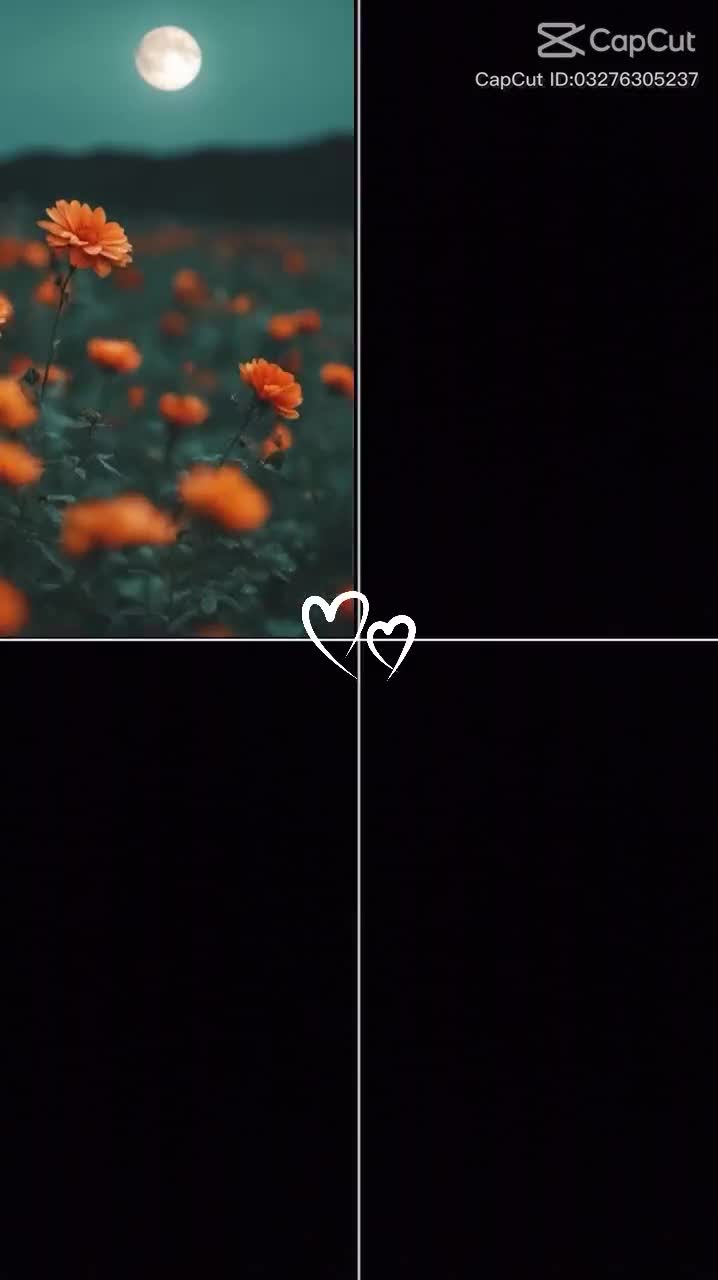 @Rosika❤️🩹koirala