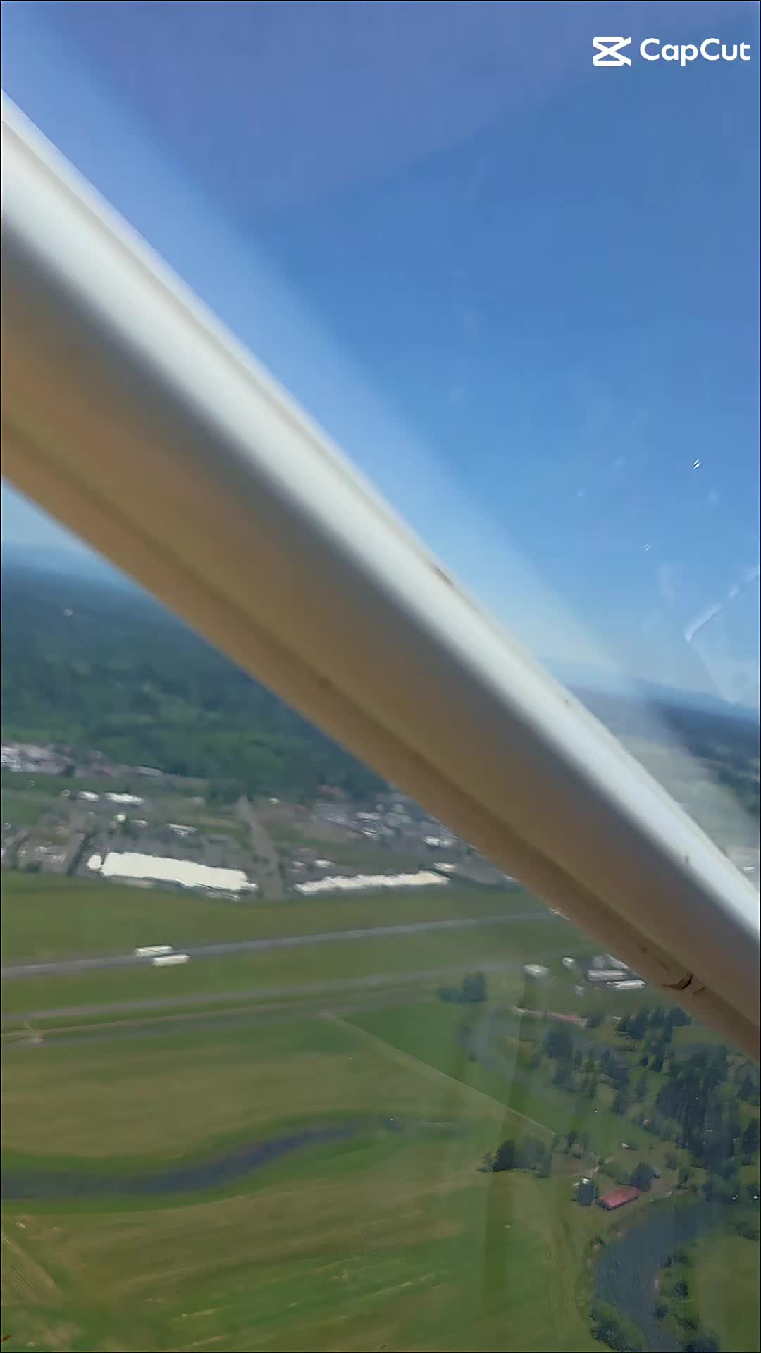 @ba ba black sheep.. pnw