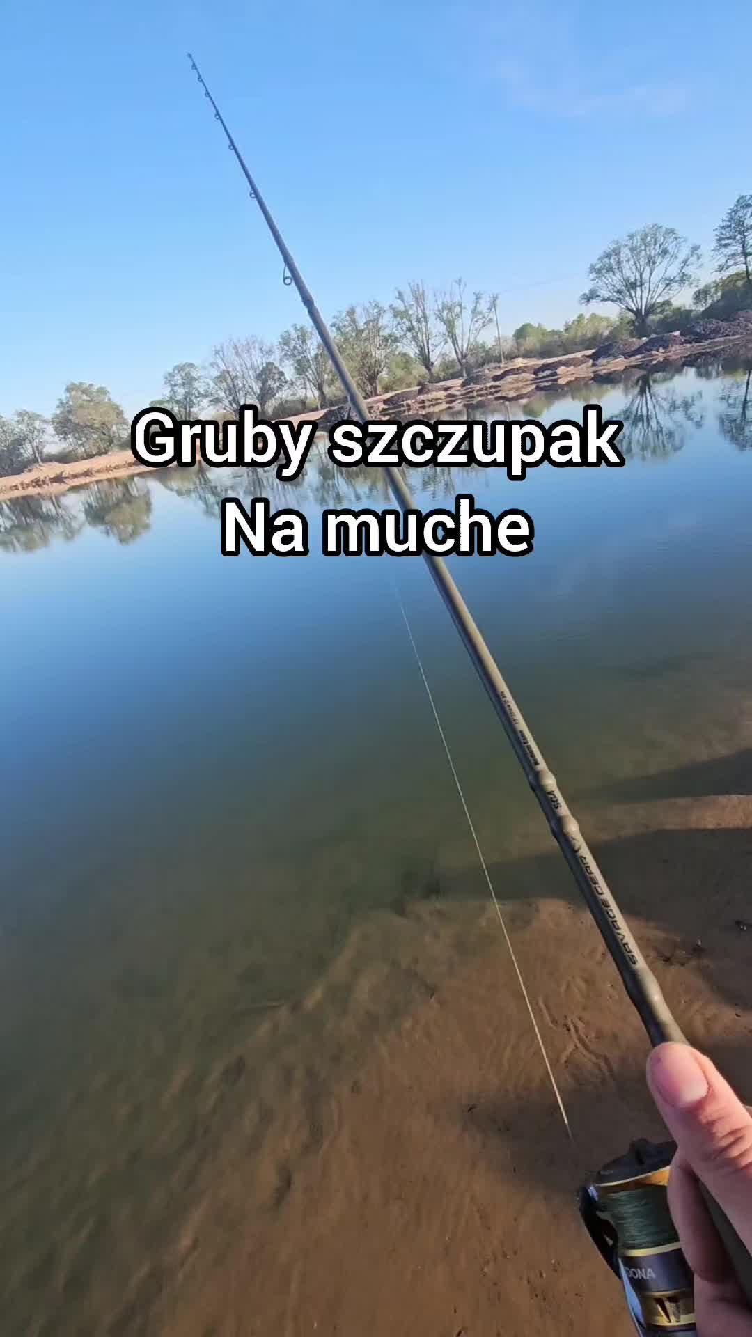 @mfly_lures