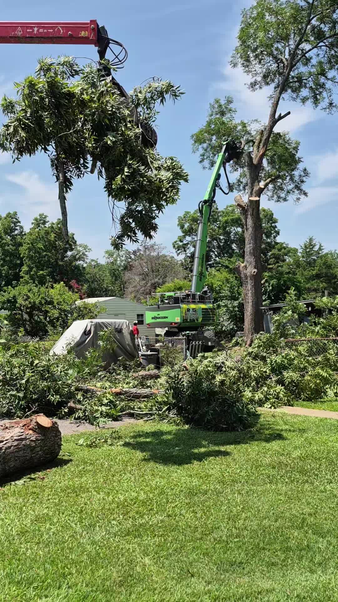 @R&G tree and landscaping